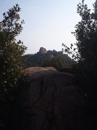 P2060492 02:10:2011.JPG